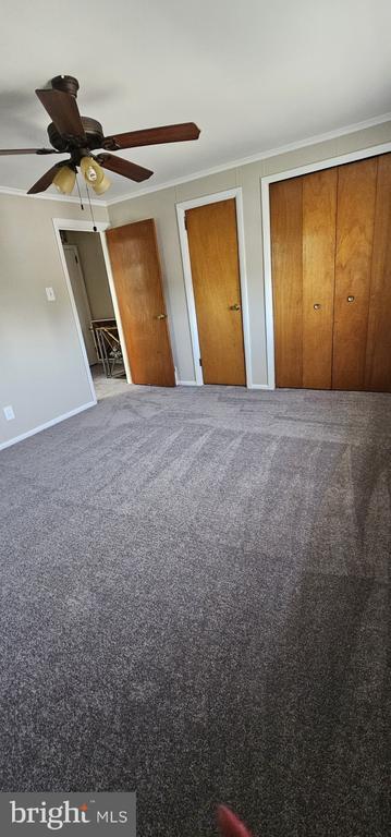 Building Photo - 435 N Springfield Rd