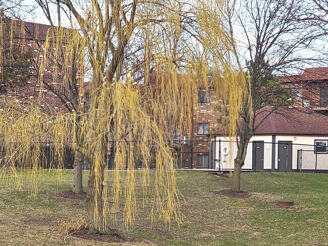 Building Photo - 1018 Castilian Ct