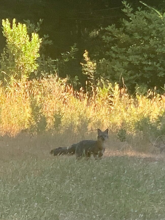 Building Photo - 41500 Wilderness Lodge Rd