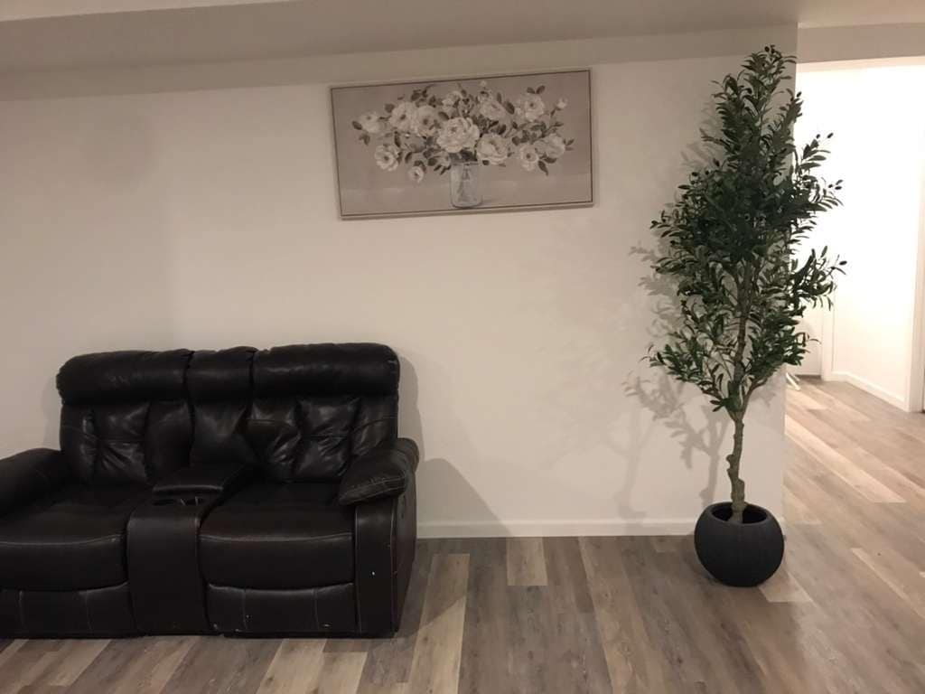 Living room - 2398 Tree Vista Ct