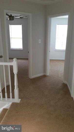 Building Photo - 4709 Caronia Way