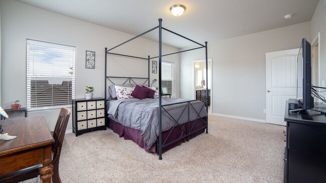 Building Photo - 8141 Misty Moon Dr
