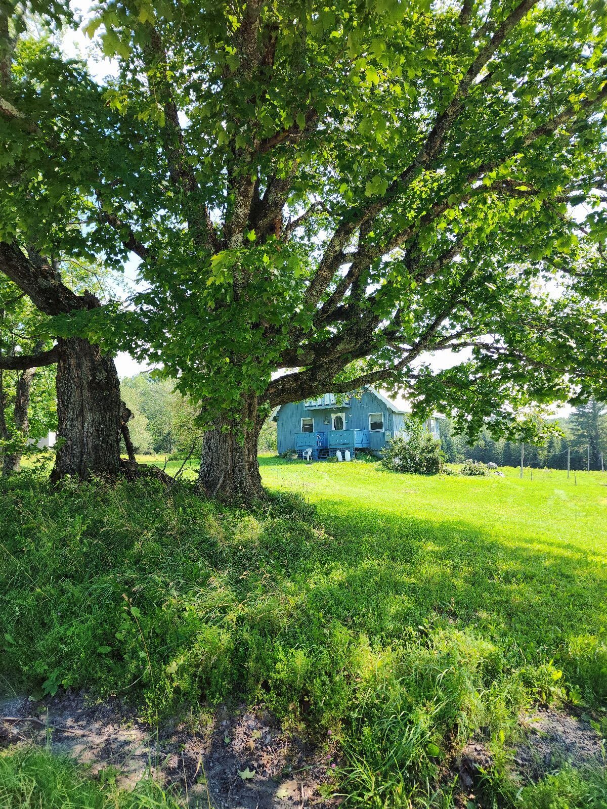 Building Photo - 826 Holt Rd