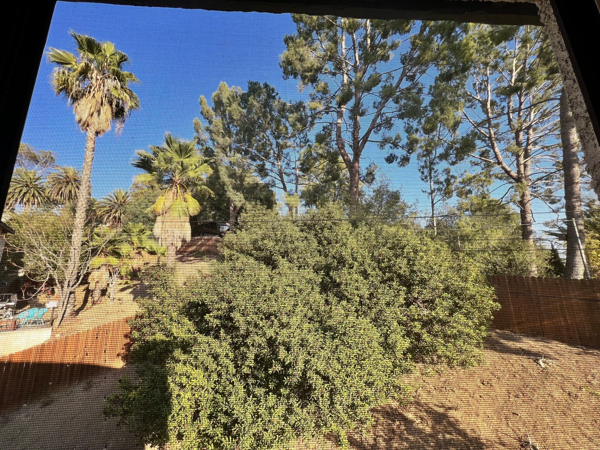Bedroom 3 backyard view - 3161 Weldon Ave