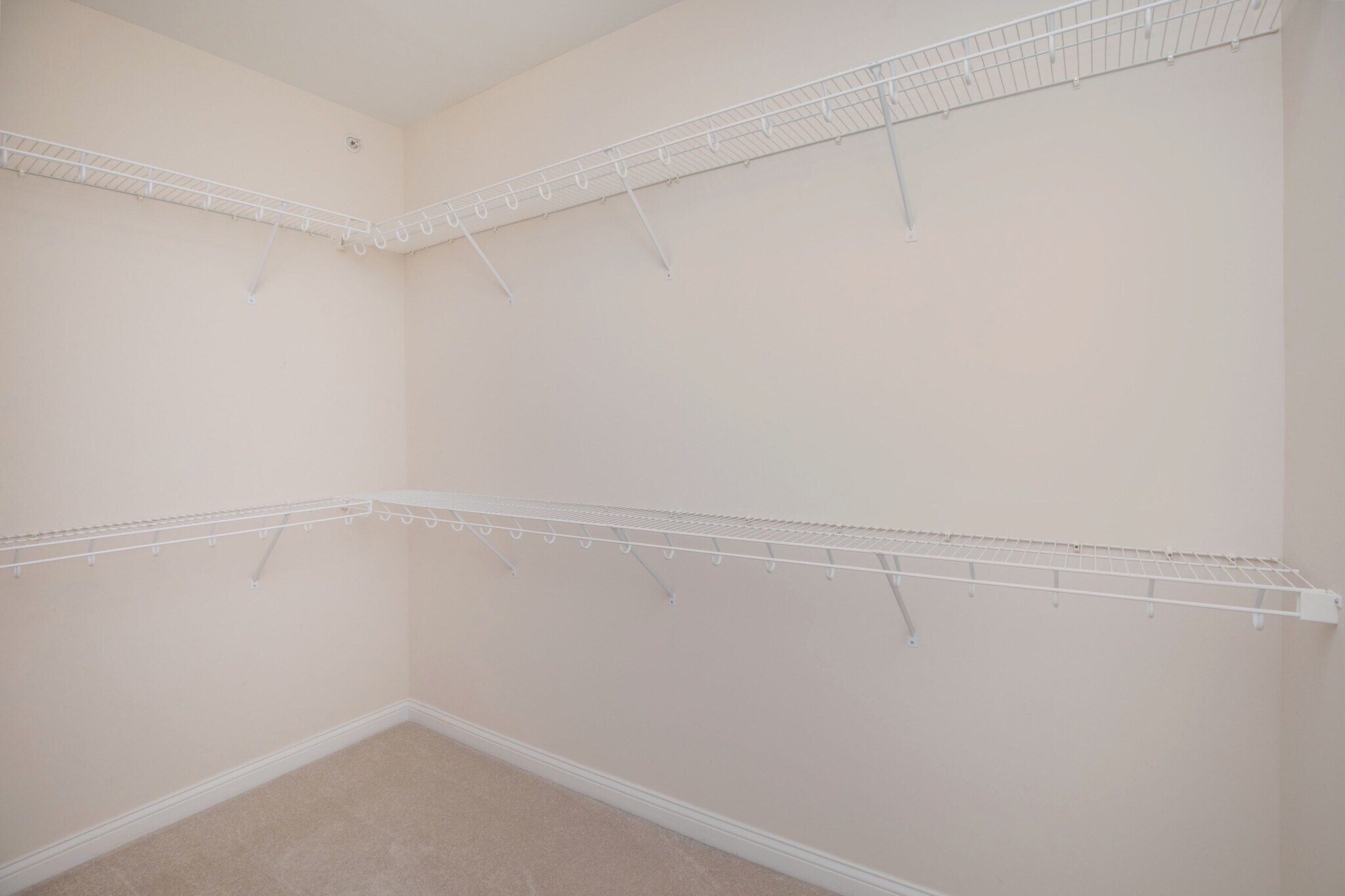 Building Photo - 517 N Park Ave