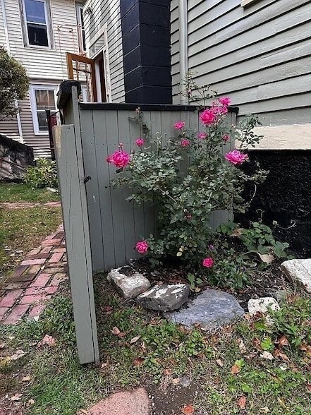 Building Photo - 481 Pine St