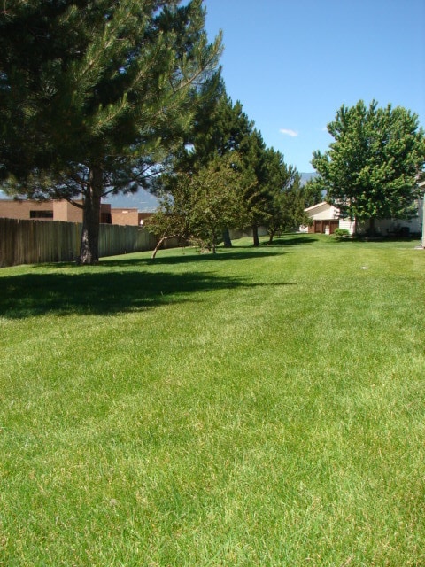 Building Photo - 4307 Hunting Meadows Cir