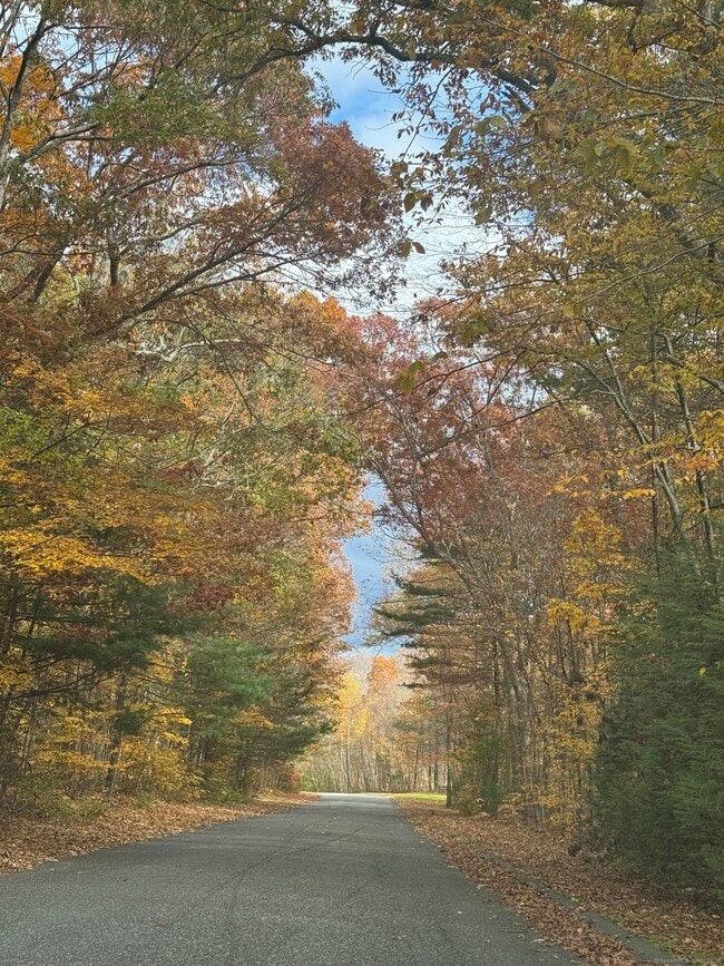 Building Photo - 86 Buff Cap Rd