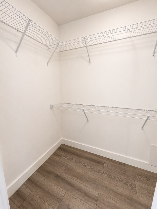 Building Photo - 4979 Paddy Trace