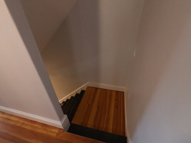 Entry Stairway - 11 Mt Vernon St