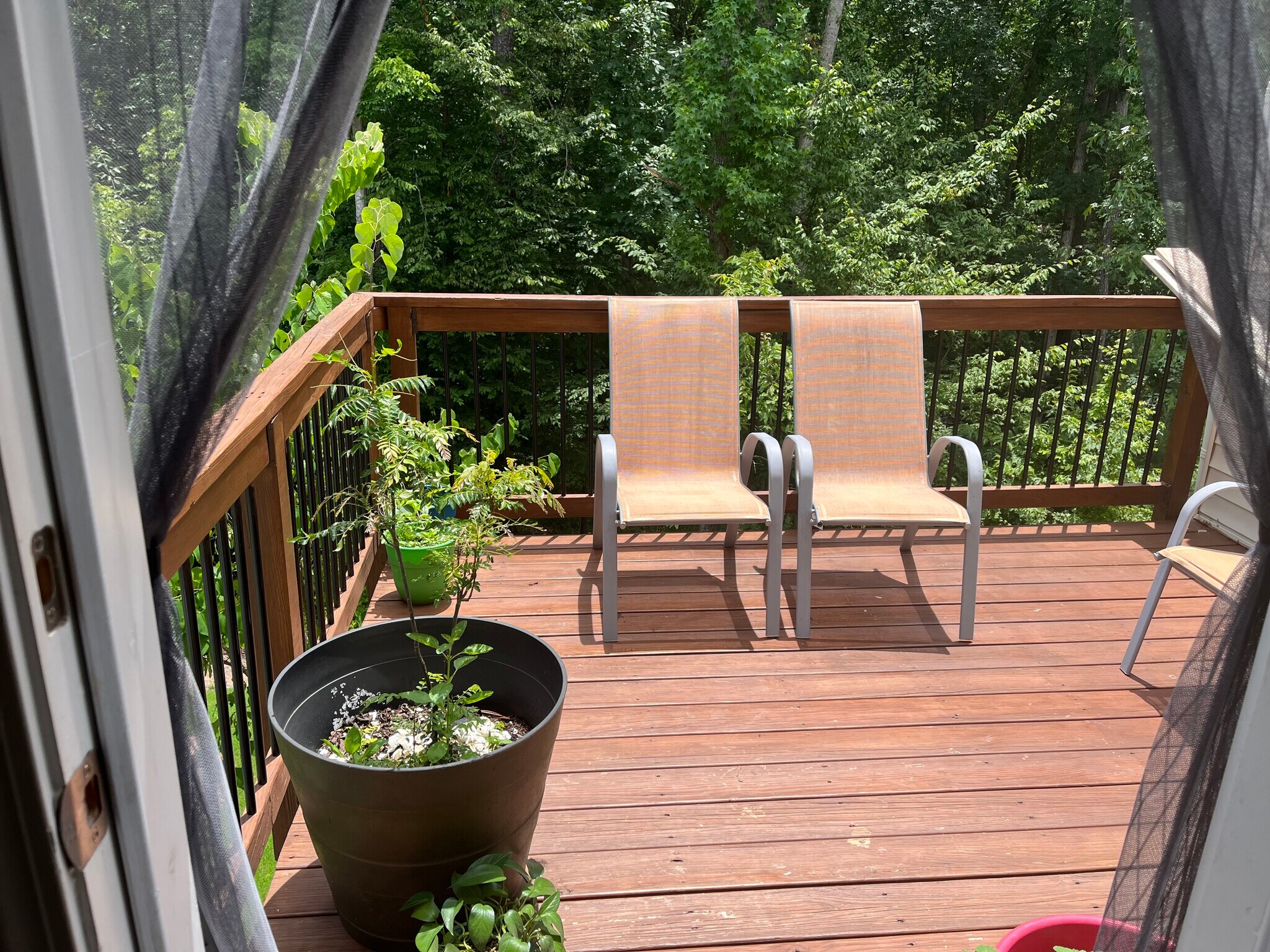 Building Photo - 4343 Pond Pine Trl