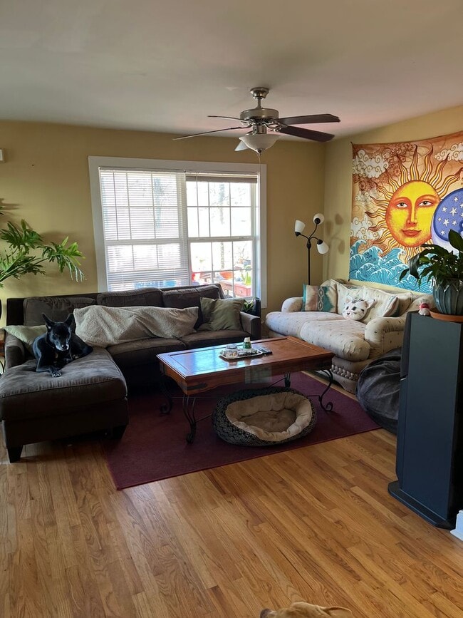 Building Photo - Well kept modern 3bd 2ba house