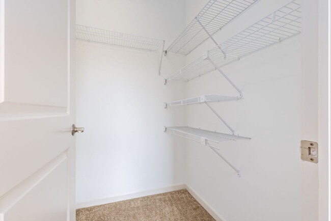 Building Photo - 1569 Colleen Ln