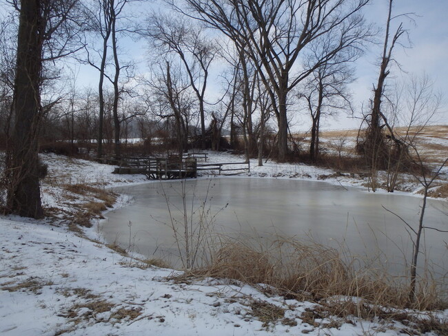 Building Photo - PERRYVILLE - Ranch style home on 1 Acre wi...