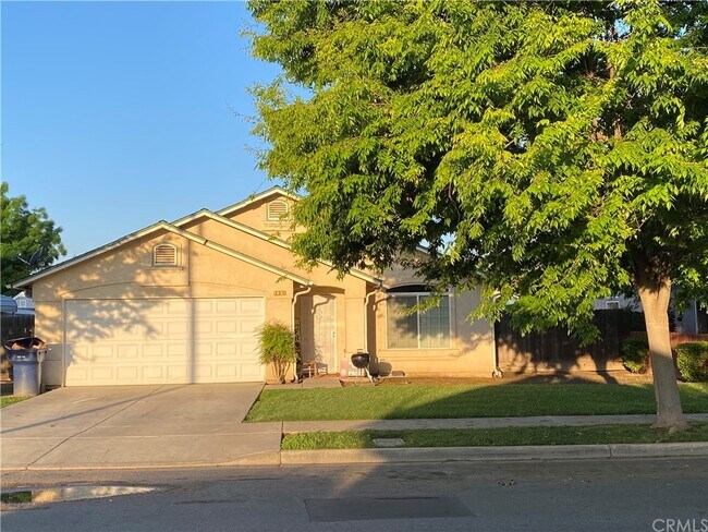 Primary Photo - 221 Cumberland St