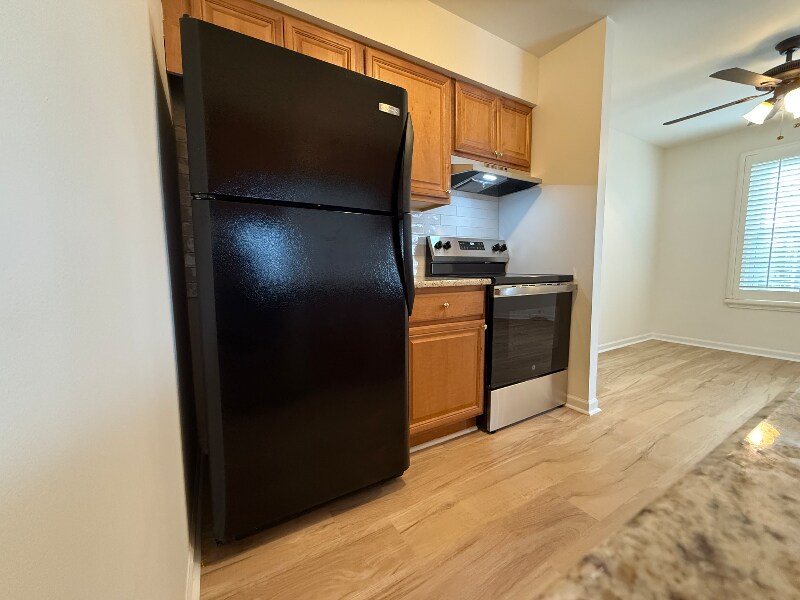 Building Photo - 713 Timber Ln