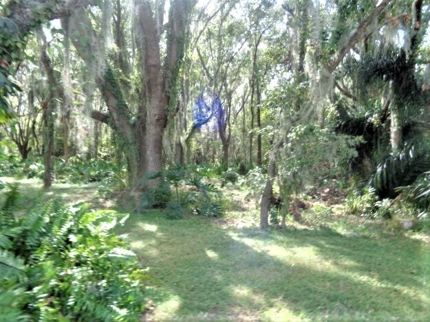 Building Photo - 10546 San Travaso Dr