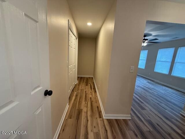 Building Photo - 678 Will Scarlet Way