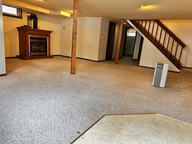 Basement - 11336 N Sunset Cir