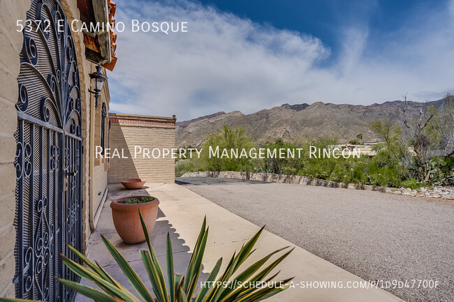 Building Photo - Location! Quintessential Tucson Classic is...