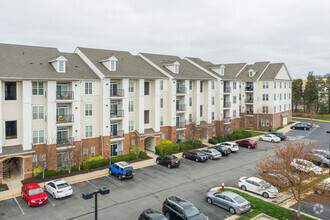 Building Photo - Commons at Potomac Square