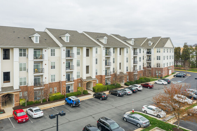 Primary Photo - Commons at Potomac Square