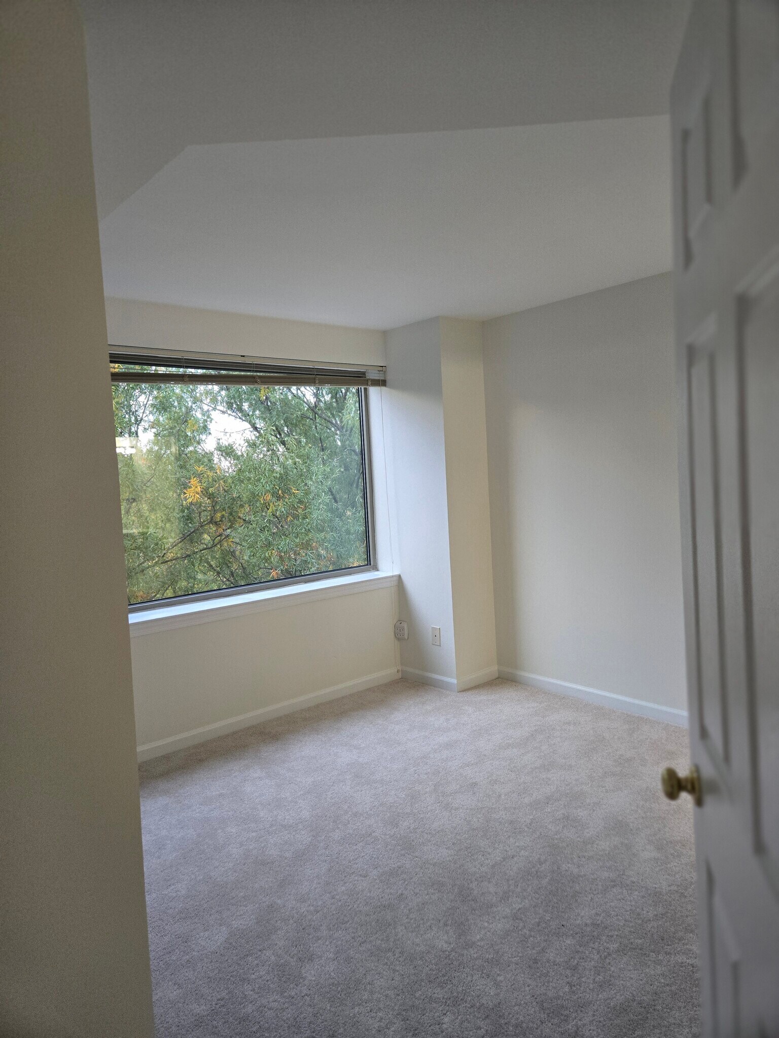 Building Photo - 5450 Whitley Park Ter