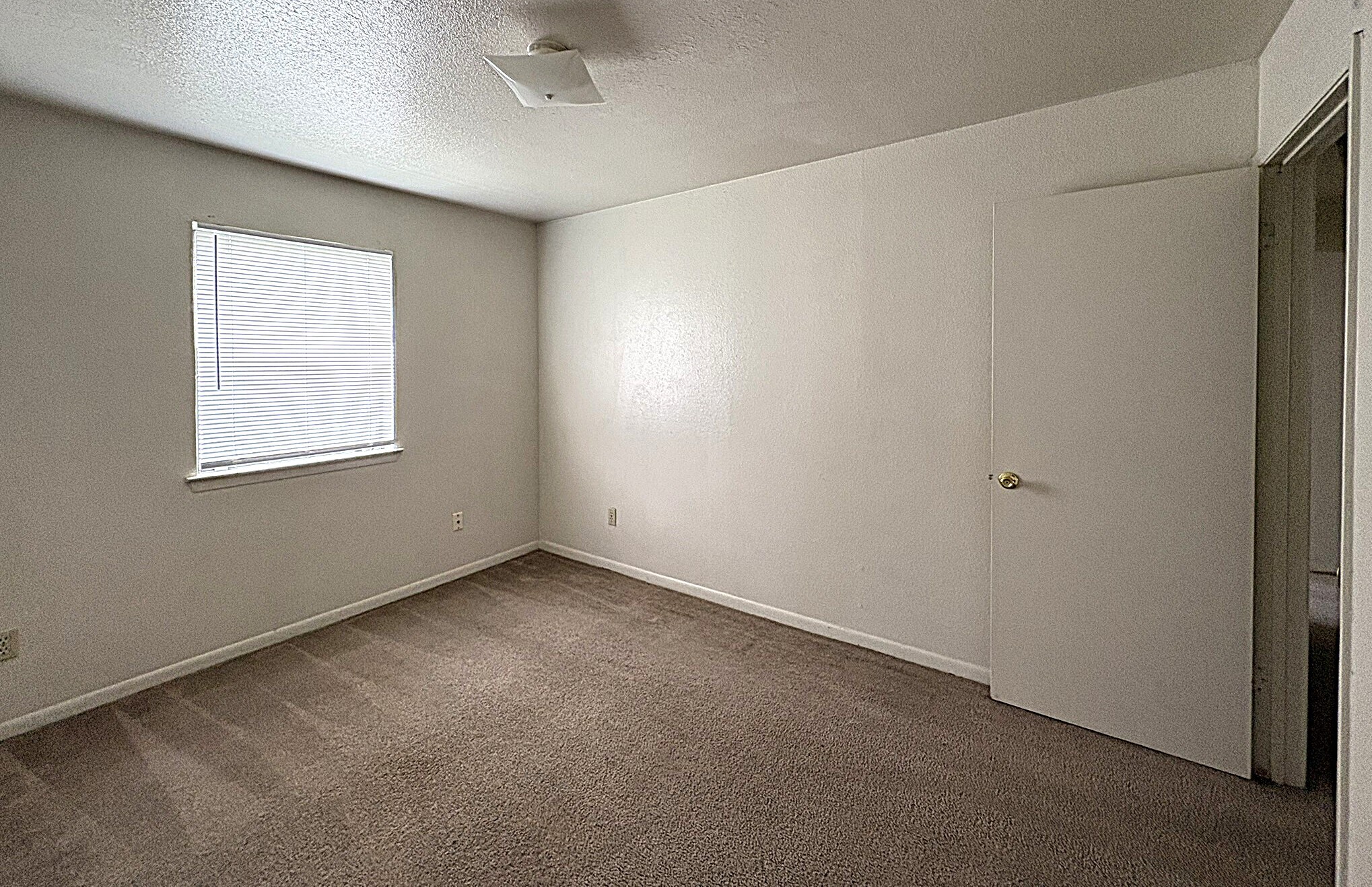 Building Photo - 207 Northern Dove Ln