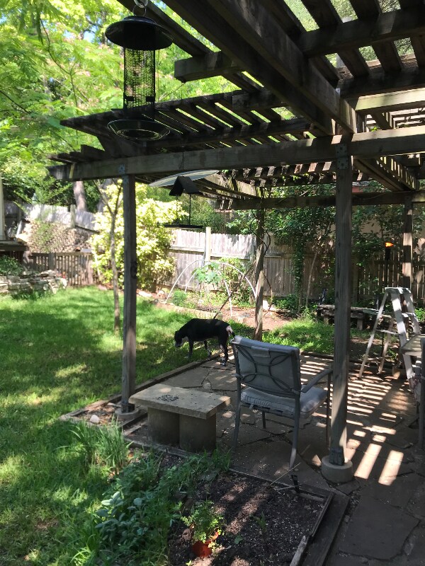 Building Photo - 903 Sweetwater River Dr