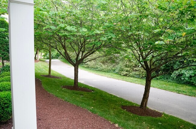 Building Photo - 8501 Burnham Ln