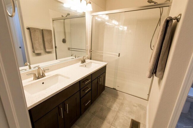 Master bath w/ walk-in shower - 417 Gray Horse Aly