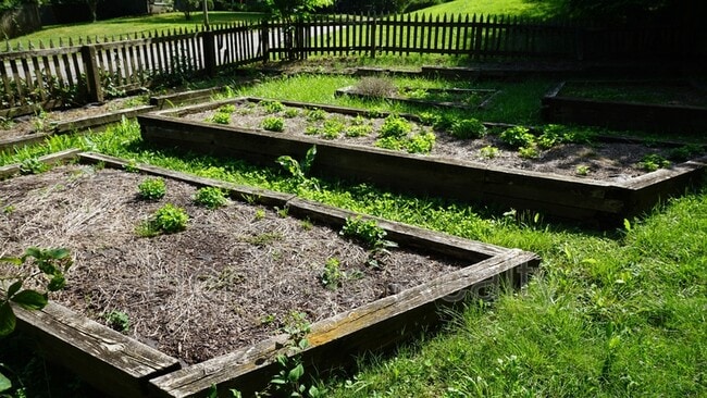 Building Photo - 529 Bardon Rd NW