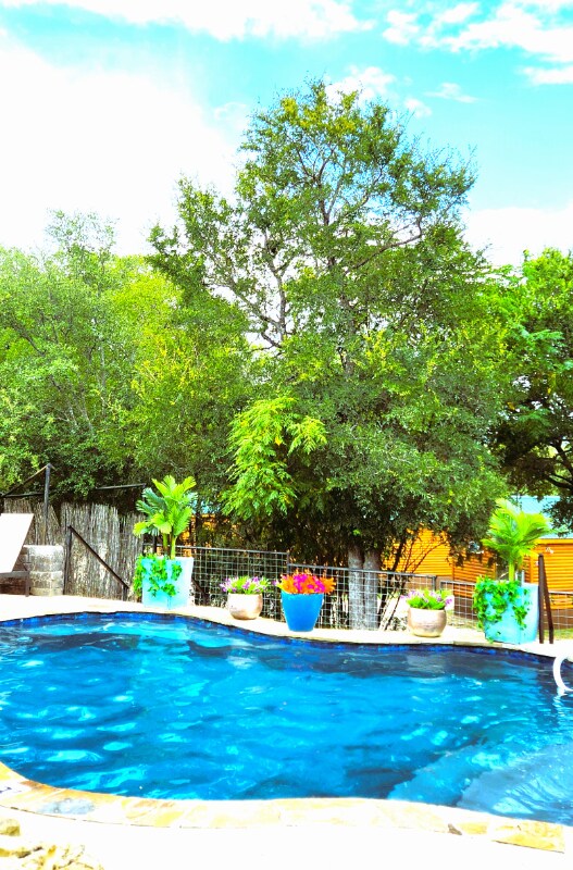 Building Photo - 299 Willow Springs Dr