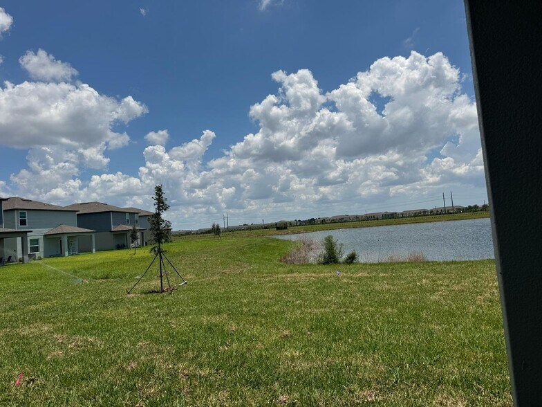 Building Photo - 6011 Blue Paloma Ct