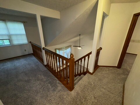 Building Photo - 2459 Breathstone Dr