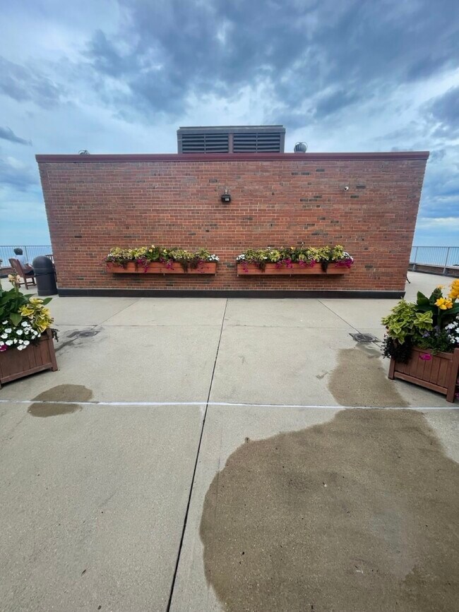 Building Photo - 3100 N Lake Shore Dr