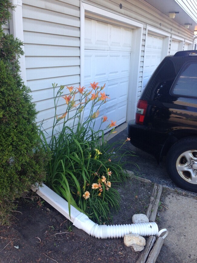 Building Photo - 157 Peter Ct