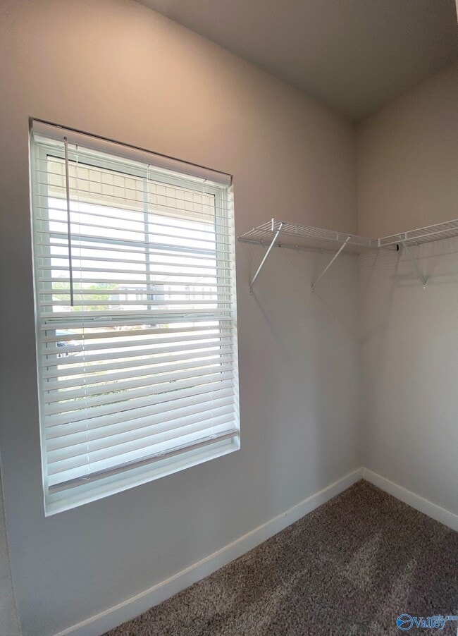 Building Photo - 4220 Textile Ln
