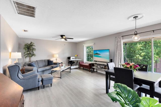 Building Photo - 117 Georgetown Dr