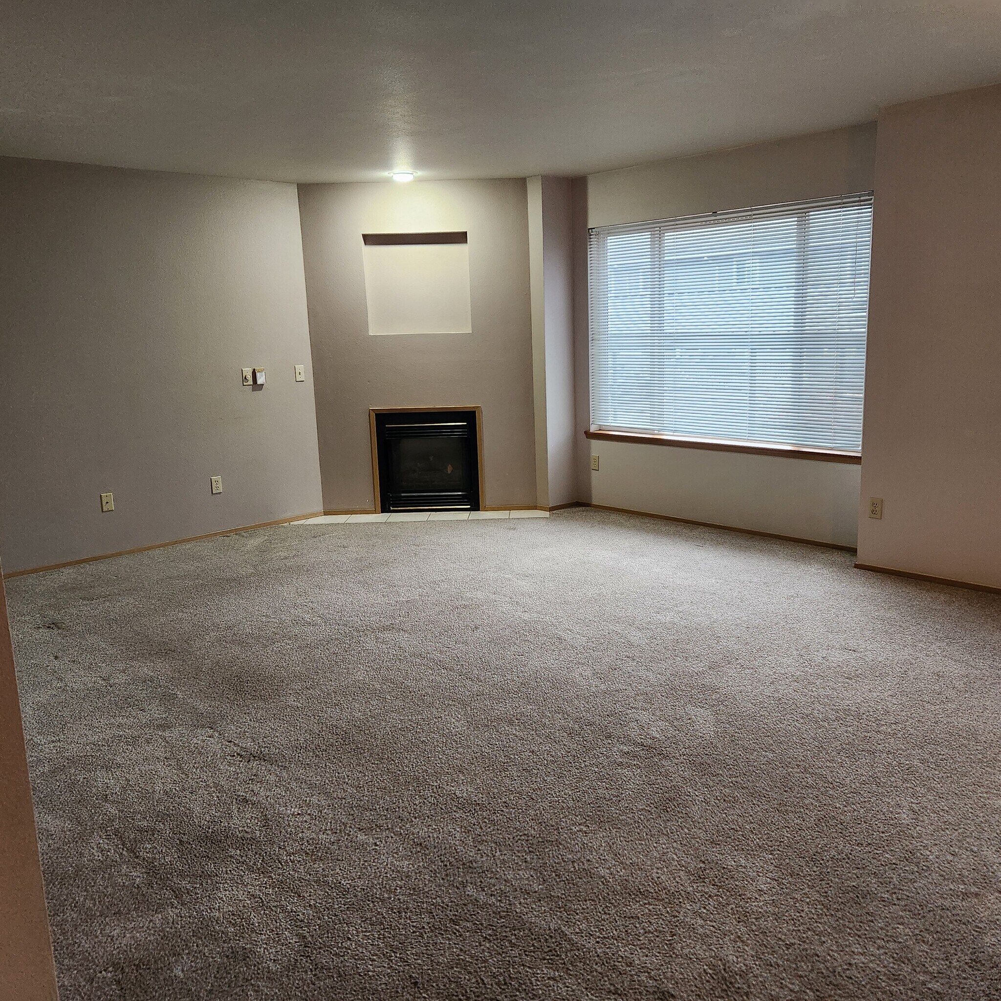 Living room - 3603 Michelle Ln