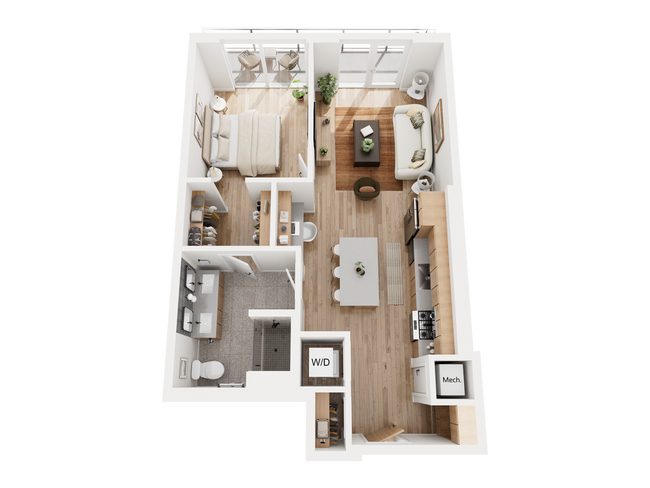 The Lustre 3D - Paseo