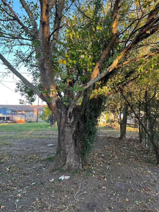 Building Photo - 305 7th St