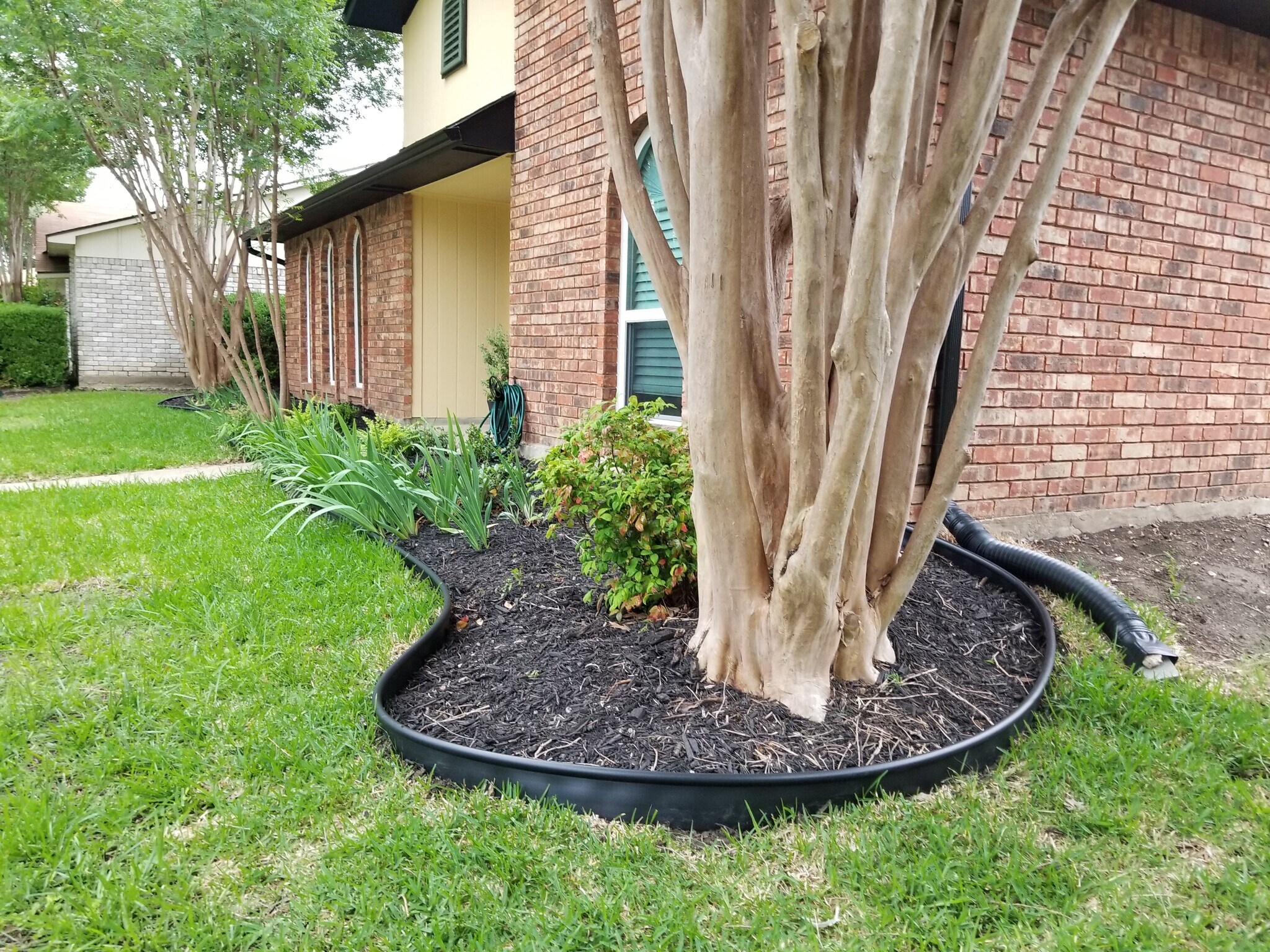 Building Photo - 4813 Wagner Dr