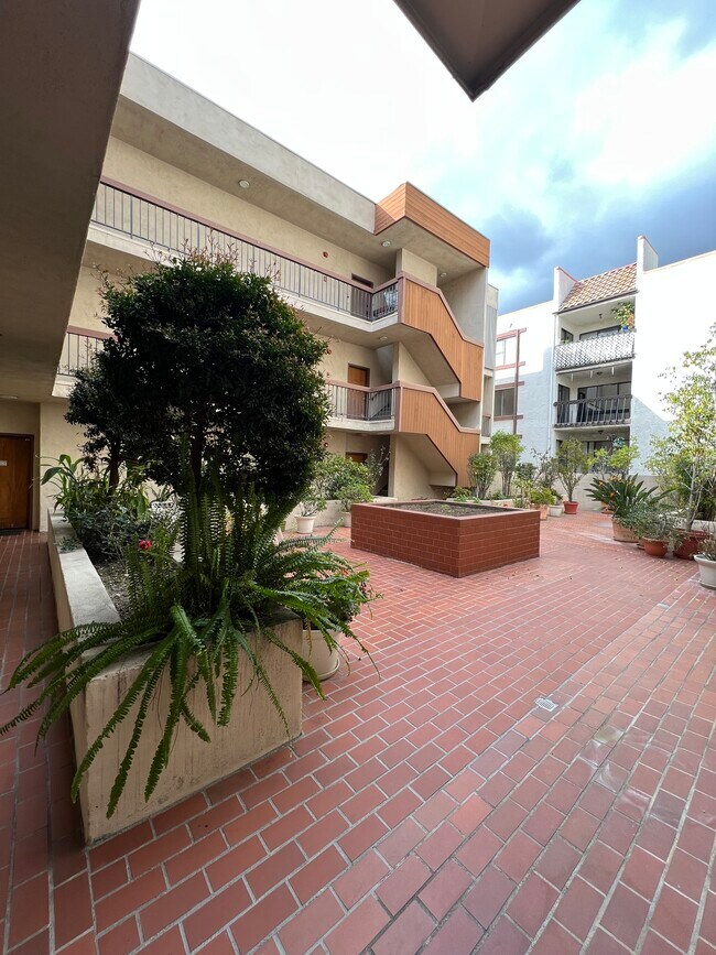 view of courtyard from front door - 511 N Jackson St