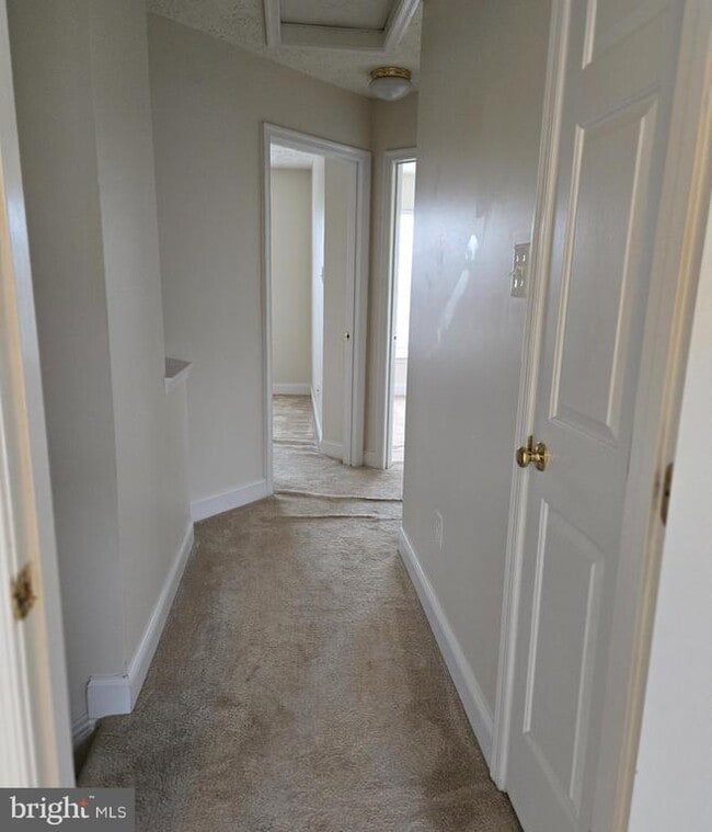 Building Photo - 4512 Warm Stone Cir