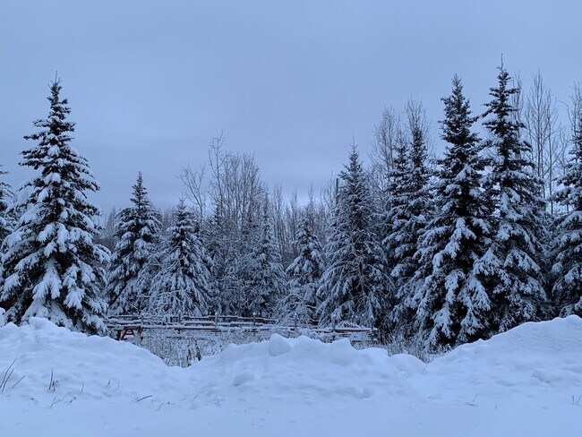 Evening view in winter from livingroom and bedroom - 2279 Franklin St