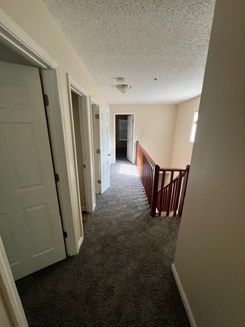 Building Photo - 3519 Lehigh Way