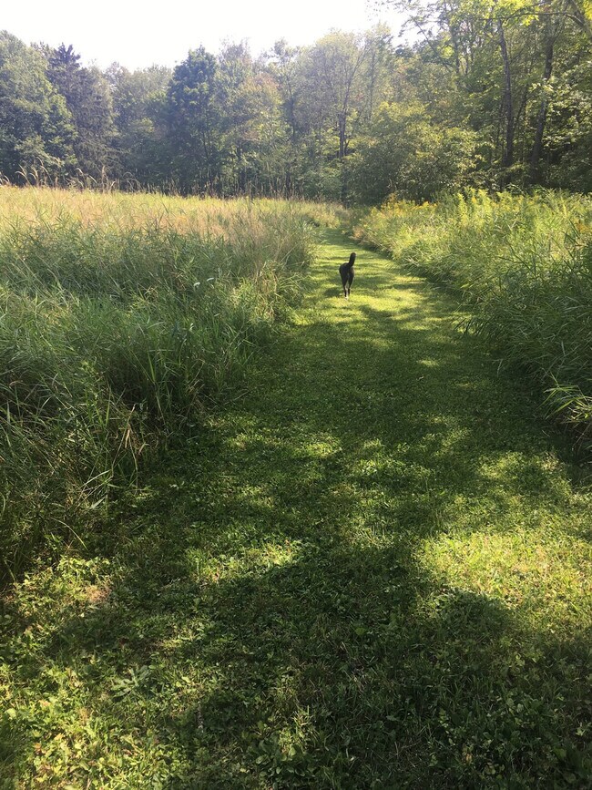 Building Photo - 296 Brick School Rd