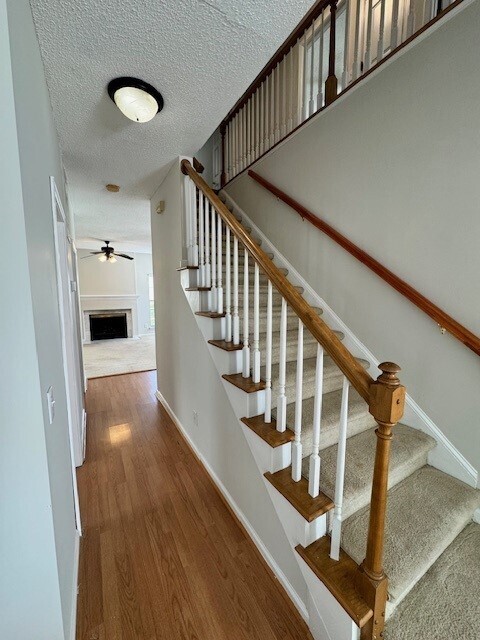 Building Photo - Charming 4-Bedroom Home