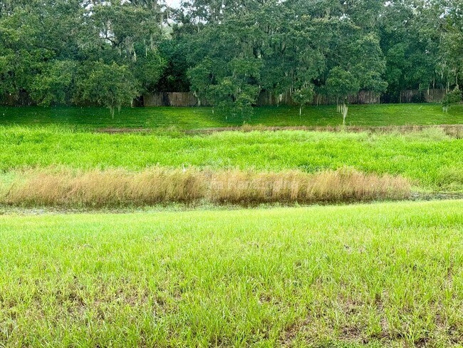 Building Photo - 3006 Summer House Dr